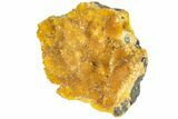 Intense Orange Calcite Crystal Cluster - Poland #228288-3